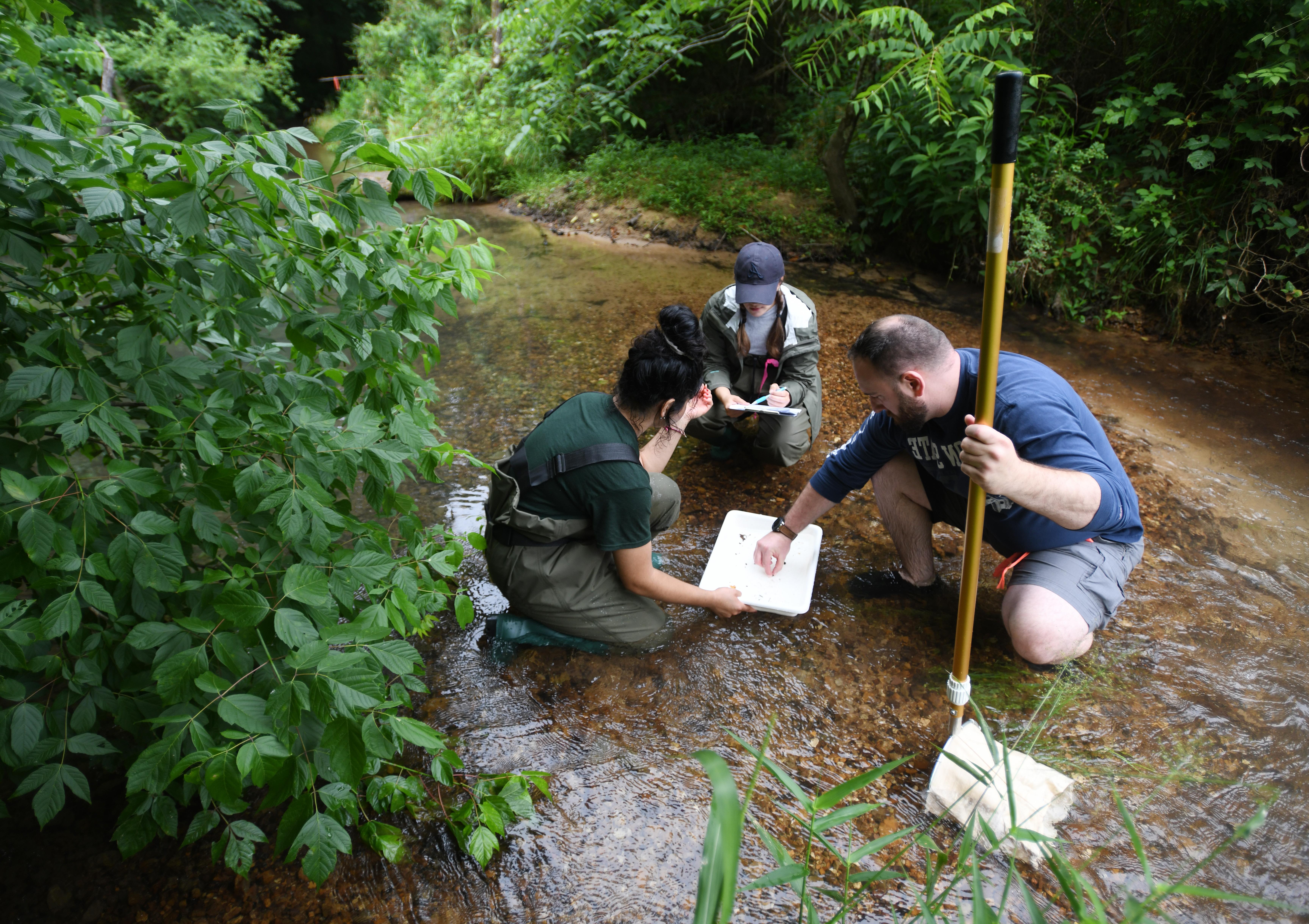 Students collecting items in a stream